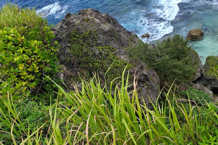 Tongatapu Highlights Tour from Royal Sites to Coastal Wonders