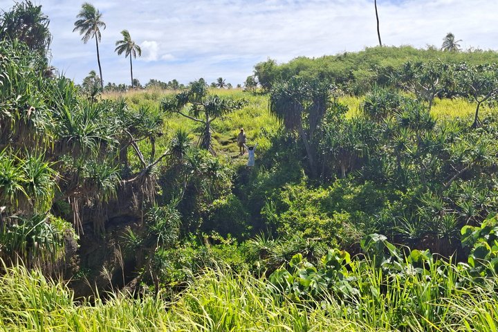 Tongatapu Highlights Tour from Royal Sites to Coastal Wonders