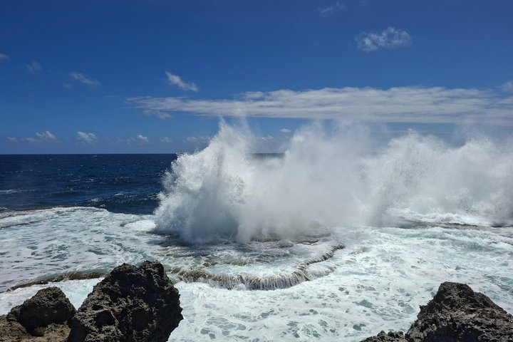Tongatapu Highlights Tour from Royal Sites to Coastal Wonders