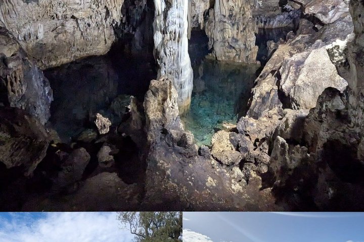 Tongatapu Highlights Tour from Royal Sites to Coastal Wonders