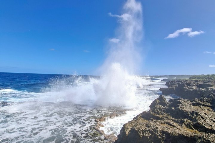 Tongatapu Highlights Tour from Royal Sites to Coastal Wonders