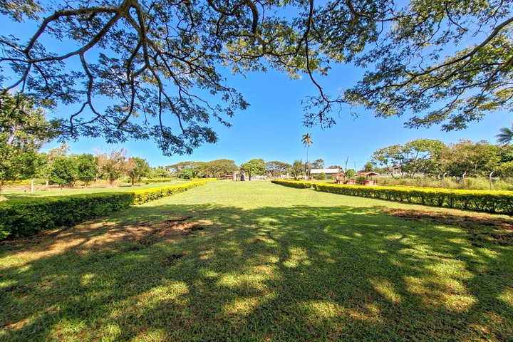 Tongatapu Highlights Tour from Royal Sites to Coastal Wonders