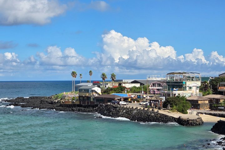 Jeju Private Taxi Tour with English Speaking Guide & Driver