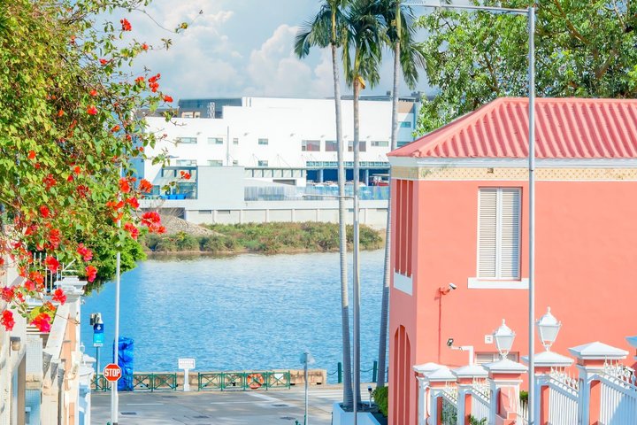 Luxury Macau City Tour with Taipa Village Visit