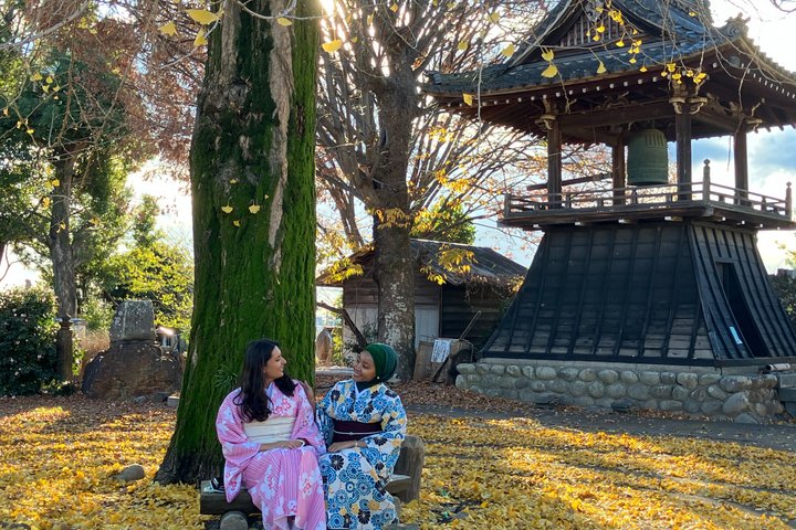 Private Kimono and Tea Ceremony Experience in Inuyama Castle Town