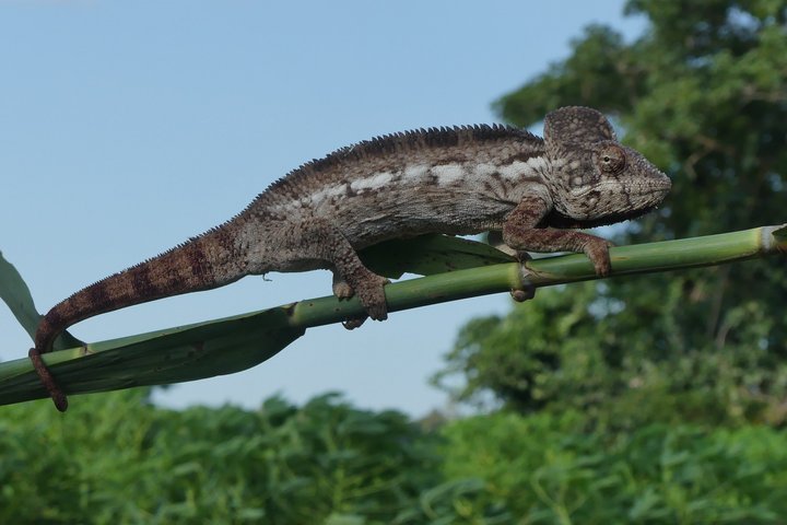 Adventure Tour West Madagascar | Nature and Discovery