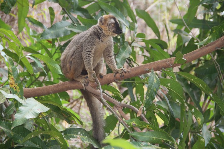 Adventure Tour West Madagascar | Nature and Discovery