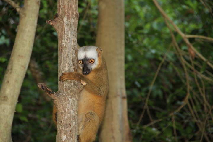 Adventure Tour West Madagascar | Nature and Discovery