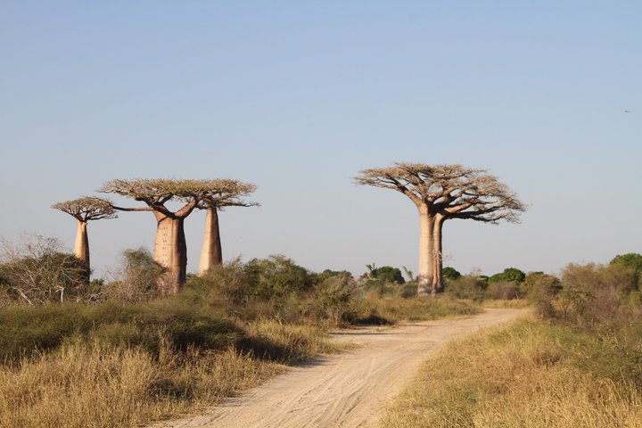 Adventure Tour West Madagascar | Nature and Discovery