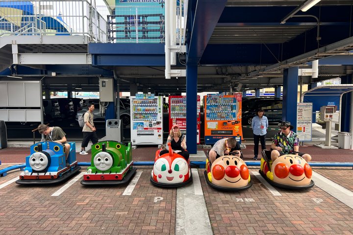 Shimizu Port Pickup: Mt. Fuji & Miho no Matsubara Tour
