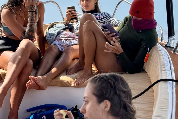 Guided Small Group Whale Watching and Swim Tour Tahiti