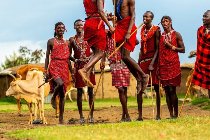 1 Day Trip to Serval Wildlife Sanctuary and Maasai village tour