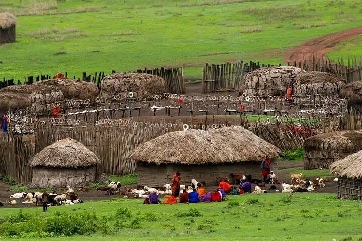 1 Day Trip to Serval Wildlife Sanctuary and Maasai village tour