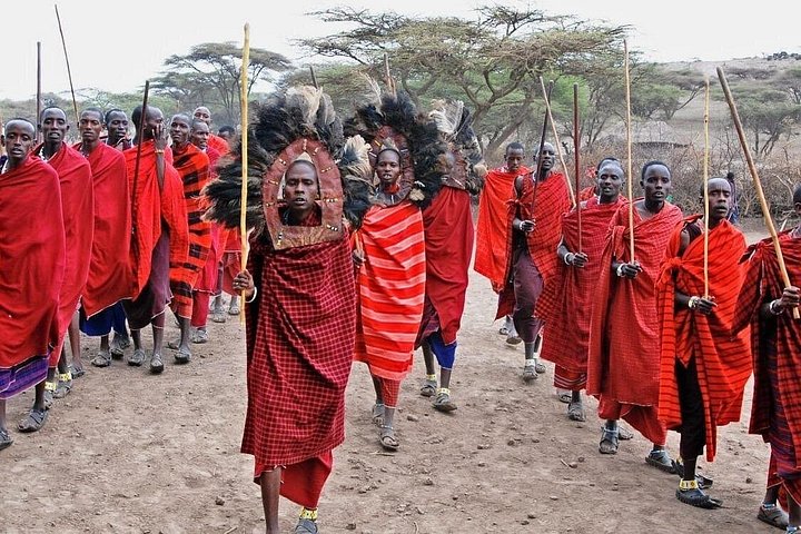 1 Day Trip to Serval Wildlife Sanctuary and Maasai village tour