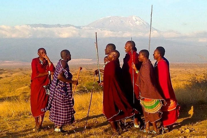 1 Day Trip to Serval Wildlife Sanctuary and Maasai village tour