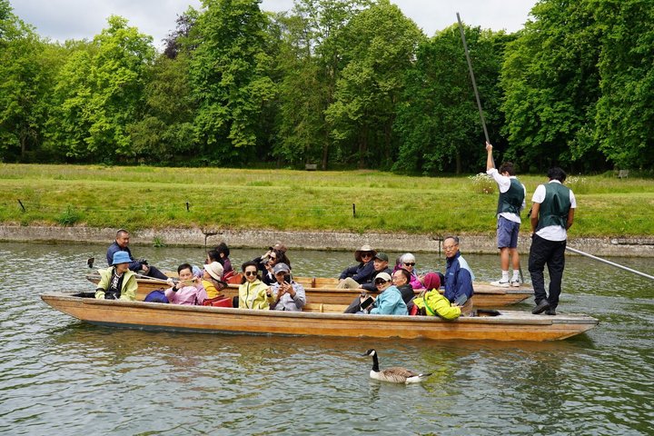 Cambridge Student-Led Shared Punting Tour (English or Chinese)