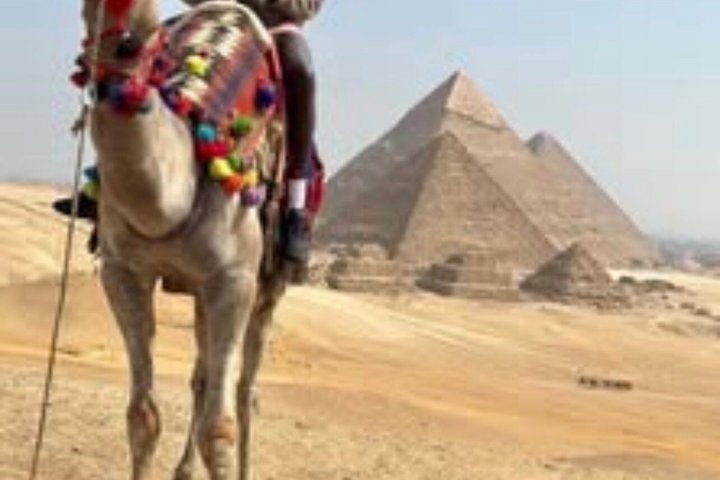 Private Giza Pyramids Great Sphinx Day Tour from El Alamein