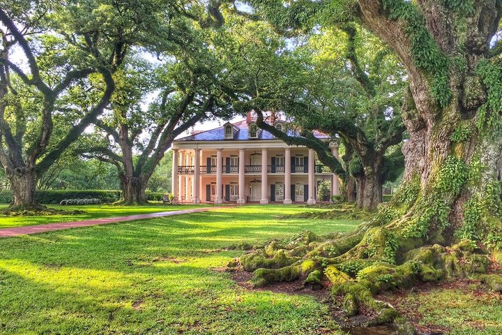 Swamp Boat Ride and Oak Alley Plantation Tour from New Orleans