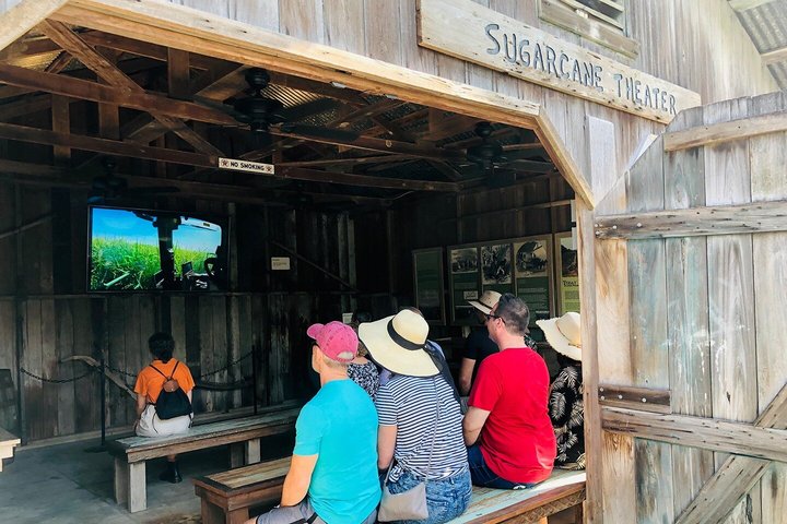 Swamp Boat Ride and Oak Alley Plantation Tour from New Orleans