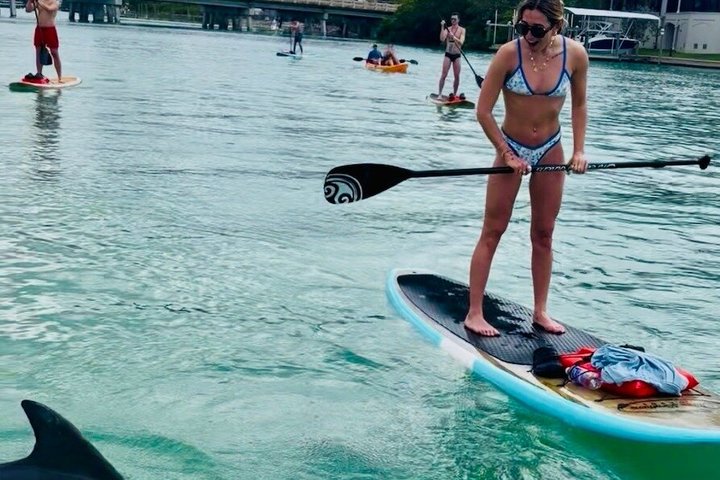 Dolphin and Manatee Tour of Marco Island by Kayak or SUP