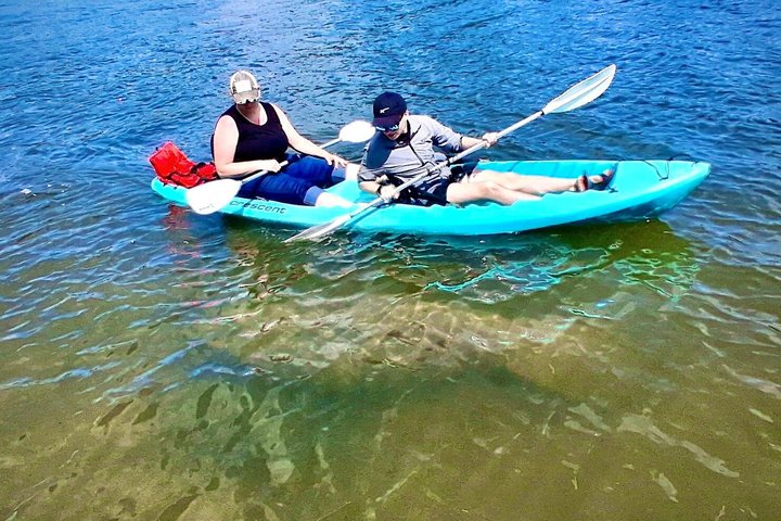 Dolphin and Manatee Tour of Marco Island by Kayak or SUP
