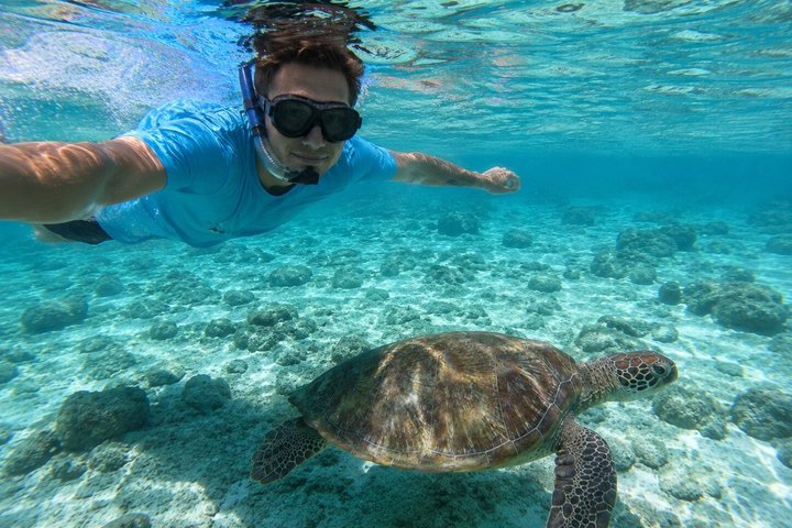 FANTASTIC Green Island and Sea Turtles - Half Day share boat trip