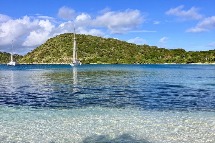 FANTASTIC Green Island and Sea Turtles - Half Day share boat trip