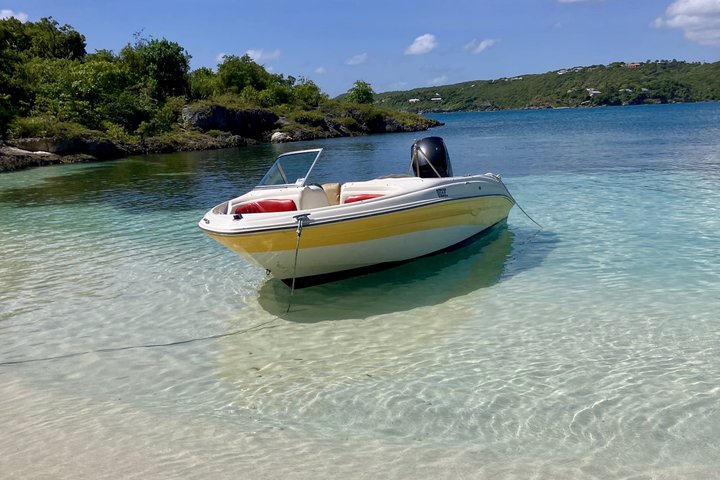 FANTASTIC Green Island and Sea Turtles - Half Day share boat trip