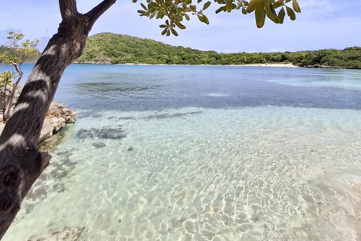FANTASTIC Green Island and Sea Turtles - Half Day share boat trip