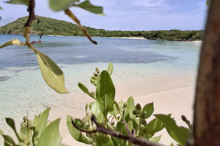 FANTASTIC Green Island and Sea Turtles - Half Day share boat trip