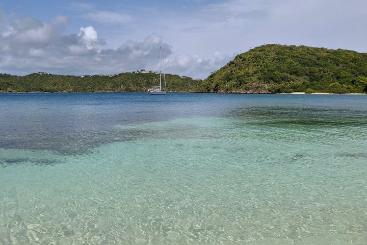 FANTASTIC Green Island and Sea Turtles - Half Day share boat trip