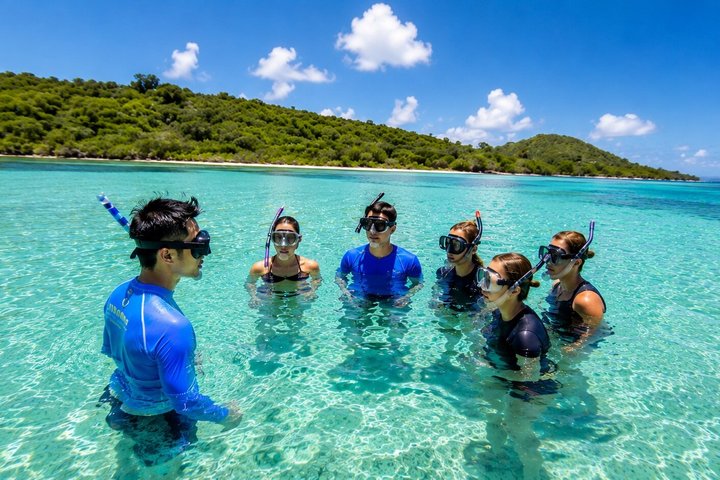 FANTASTIC Green Island and Sea Turtles - Half Day share boat trip