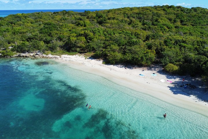 FANTASTIC Green Island and Sea Turtles - Half Day share boat trip