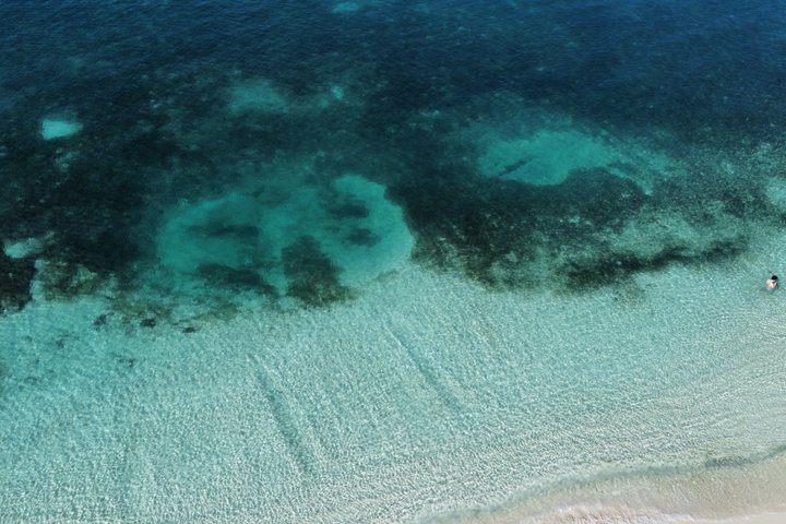 FANTASTIC Green Island and Sea Turtles - Half Day share boat trip