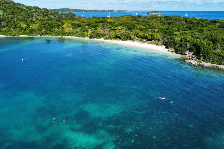 FANTASTIC Green Island and Sea Turtles - Half Day share boat trip