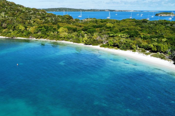 FANTASTIC Green Island and Sea Turtles - Half Day share boat trip
