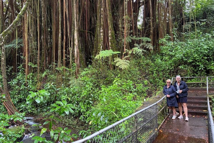 Hilo Cruise Day Tours