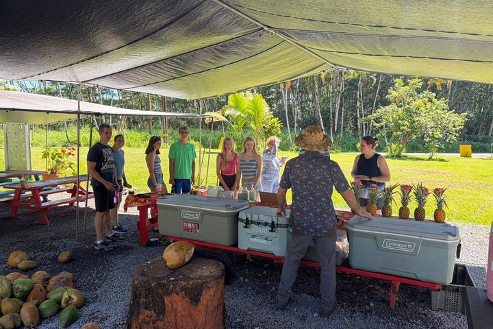 Hilo Cruise Day Tours