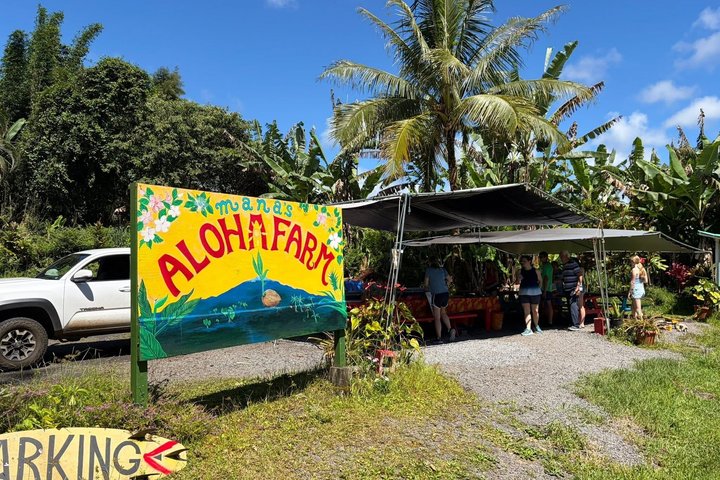 Hilo Cruise Day Tours