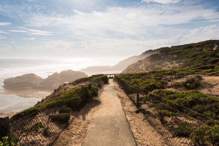 Mornington Peninsula Sightseeing tour with lunch
