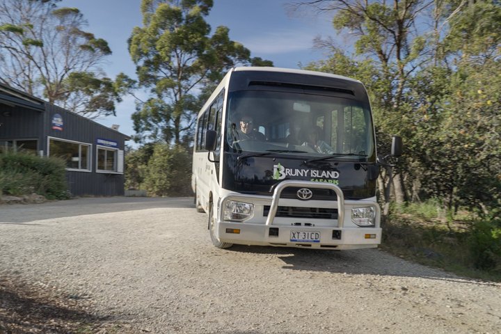 Bruny Island Full Day Tour inc Exclusive Lighthouse Tour