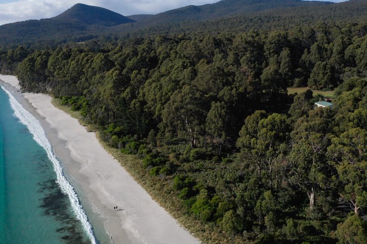Bruny Island Full Day Tour inc Exclusive Lighthouse Tour