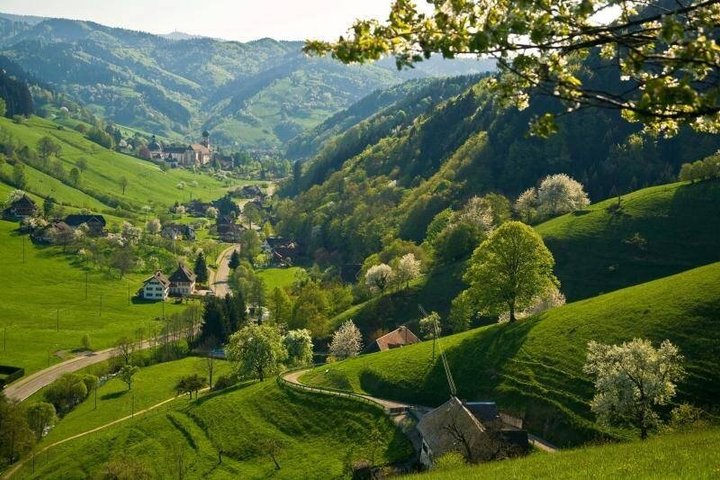 From Basel: French Villages and Black Forest in Small Group