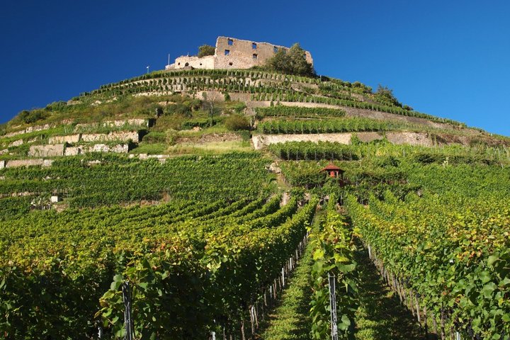 From Basel: French Villages and Black Forest in Small Group