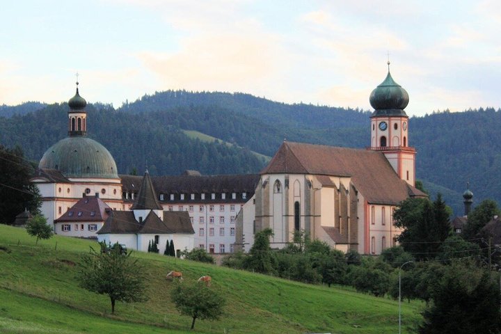 From Basel: French Villages and Black Forest in Small Group
