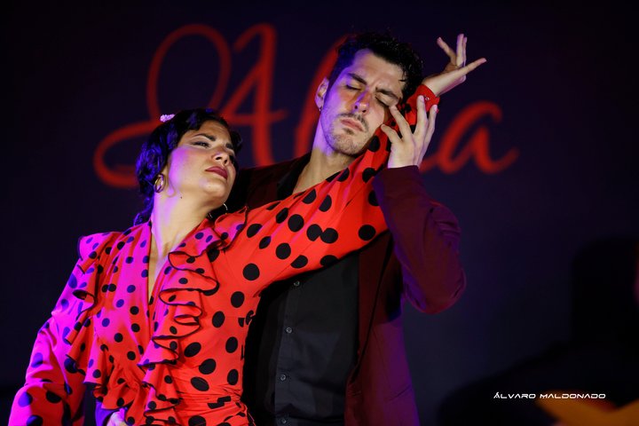Palma: Authentic Flamenco Show at Tablao Flamenco Alma
