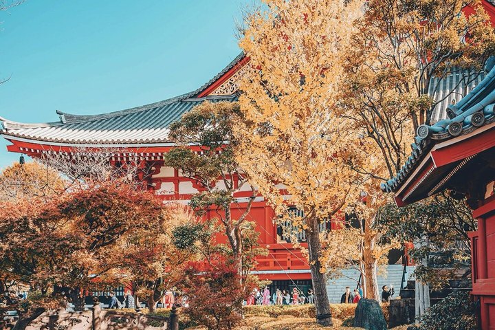 Yokohama Port Tokyo Port Shore Excursion Tokyo City Private Tour