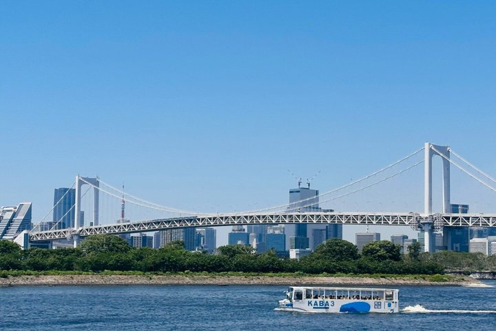 Yokohama Port Tokyo Port Shore Excursion Tokyo City Private Tour