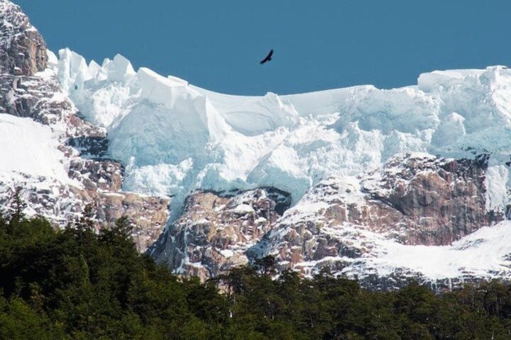 Patagonia Most Scenic Navigation to Balmaceda & Serrano Glaciers