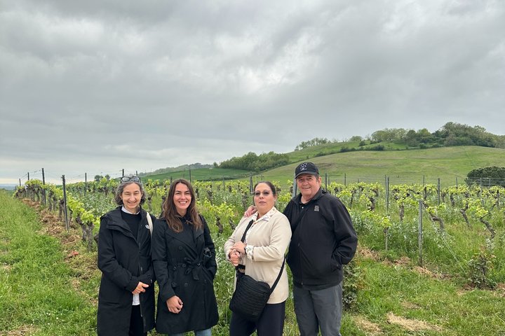 Albi, Cordes and Gaillac Day Tour from Toulouse